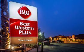 Best Western Plus Tree House